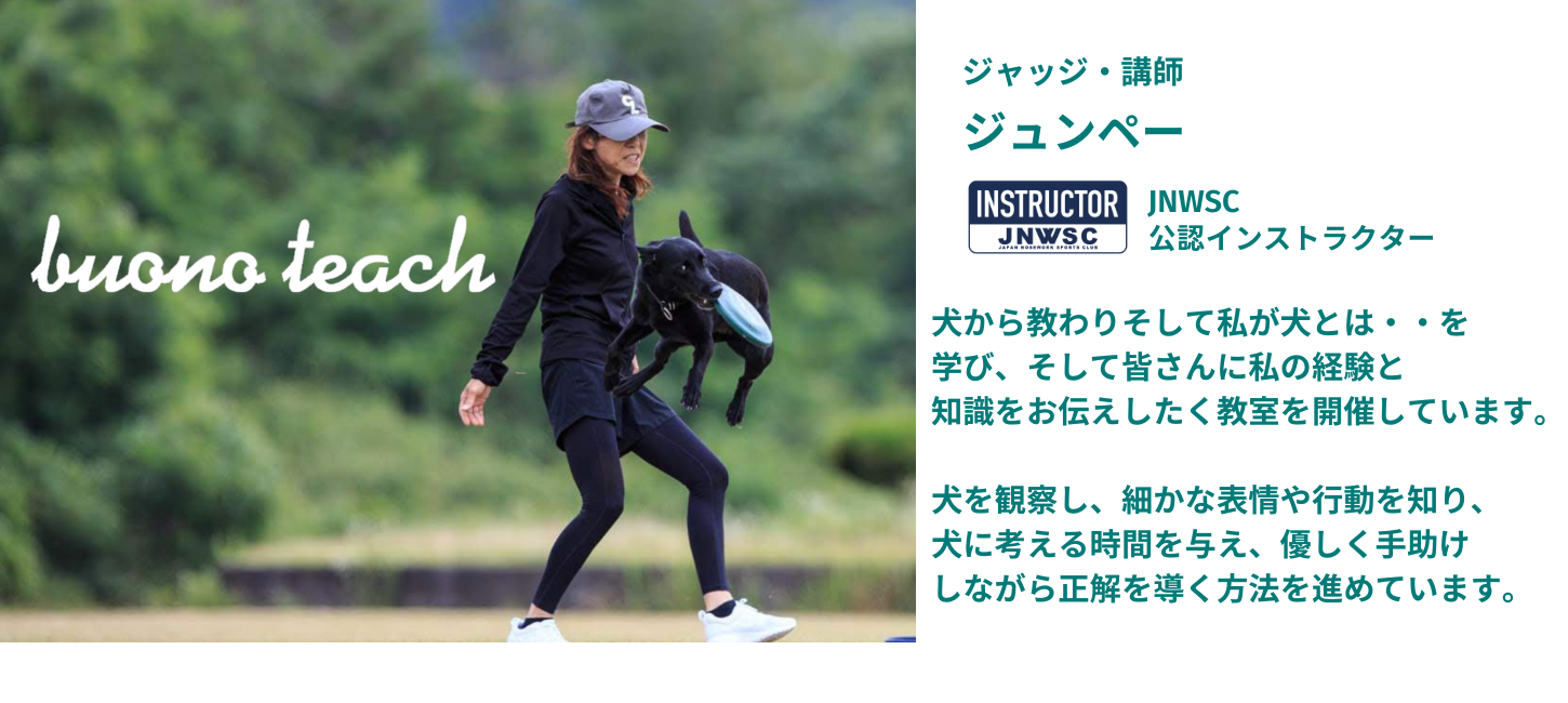 Buono Dog Training ジュンぺー矢野淳子 ドッグトレーナー JNWSC公認インストラクター